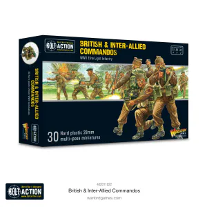 British or Commonwealth Infantry