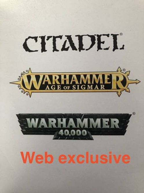Hovedbilde WEB Ogor Mawtribes: Icebrow Hunter